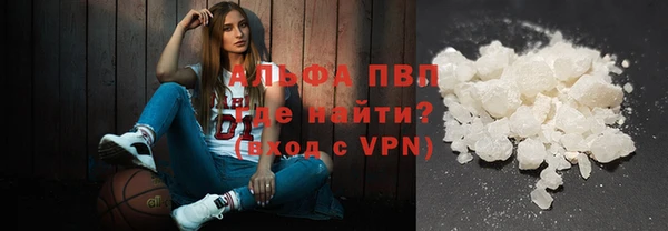PSILOCYBIN Абаза