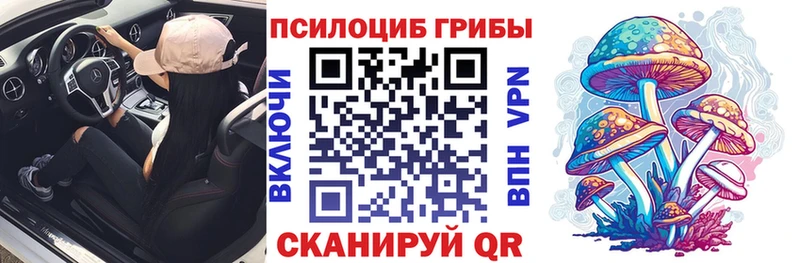 купить наркотики сайты  мега как зайти  Псилоцибиновые грибы мицелий  shop состав  Урус-Мартан 