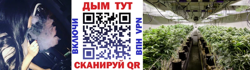 Конопля Bruce Banner  Урус-Мартан 